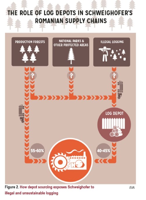 THE ROLE OF LOG DEPOTS IN SCHWEIGHOFER'S ROMANIAN SUPPLY CHAINS