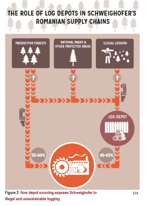 THE ROLE OF LOG DEPOTS IN SCHWEIGHOFER'S ROMANIAN SUPPLY CHAINS